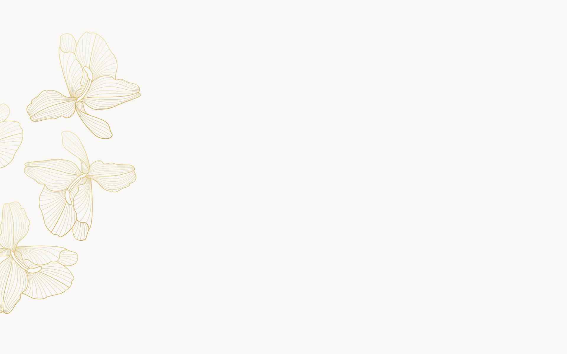 https://mirha.hu/wp-content/uploads/2023/09/background_02.jpg